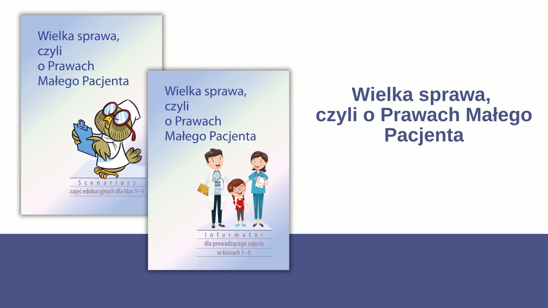Wielka sprawa, czyli o&nbsp;Prawach Małego Pacjenta