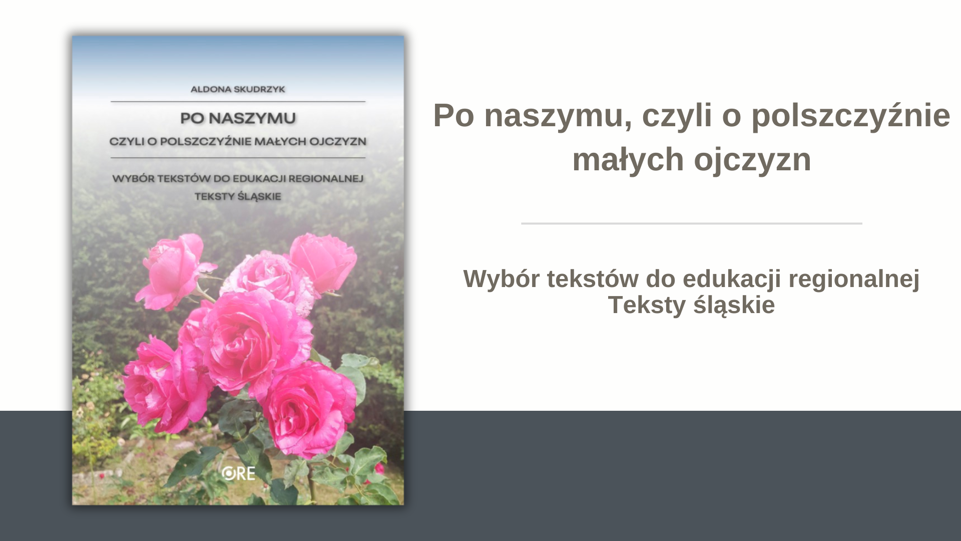 Po&nbsp;naszymu, czyli o&nbsp;polszczyźnie małych ojczyzn. Wybór tekstów do&nbsp;edukacji regionalnej. Teksty śląskie