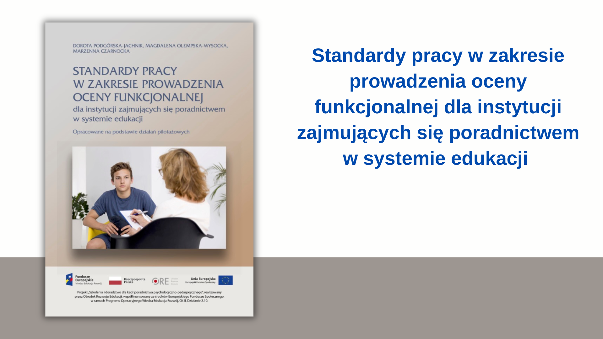 Standardy pracy w&nbsp;zakresie prowadzenia oceny funkcjonalnej dla instytucji zajmujących się poradnictwem w&nbsp;systemie edukacji