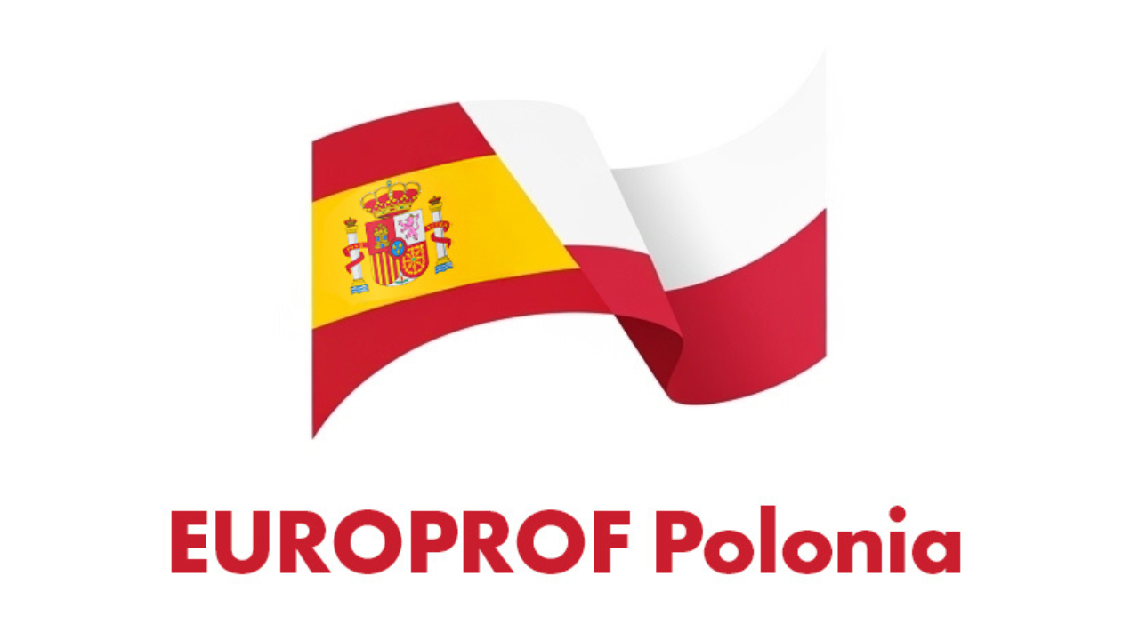 Szkolenie w&nbsp;ramach programu Europrof