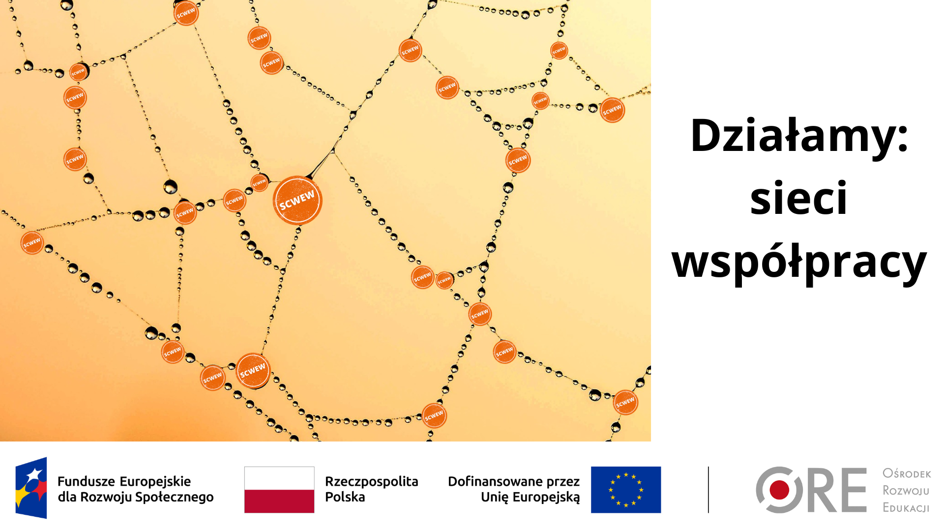 Sieć współpracy i&nbsp;samokształcenia w&nbsp;SCWEW