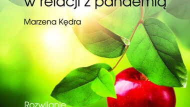 Poradnik metodyczny. Szkoły ćwiczeń w relacji z pandemią. Rozwijanie kompetencji przyrodniczych a edukacja zdalna i hybrydowa w kształceniu zintegrowanym na I etapie edukacyjnym