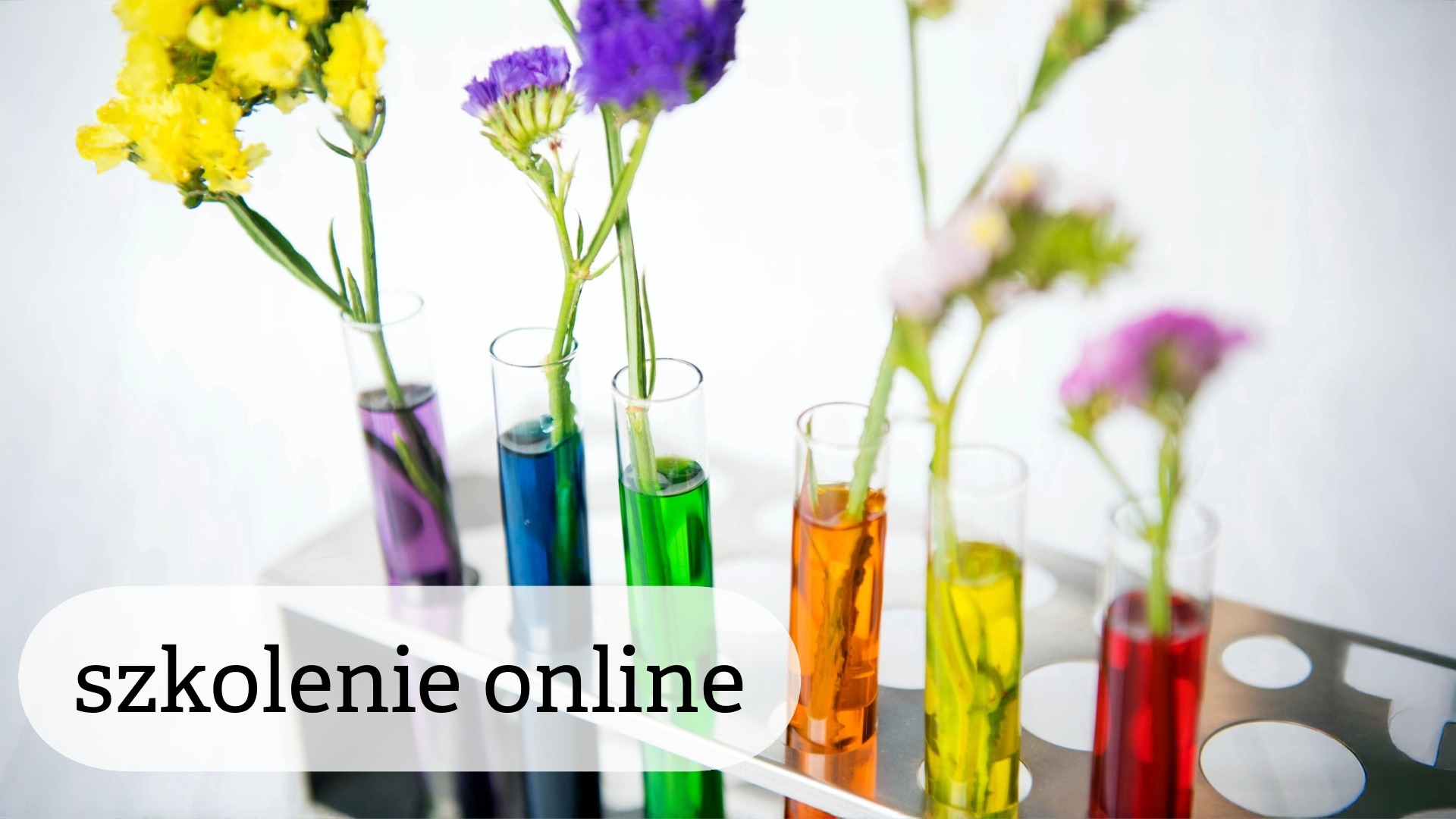 „Współczesne trendy w&nbsp;metodyce nauczania przedmiotów przyrodniczych” – bezpłatne szkolenie online