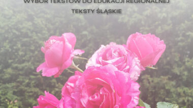Po naszymu, czyli o polszczyźnie małych ojczyzn. Wybór tekstów do edukacji regionalnej. Teksty śląskie