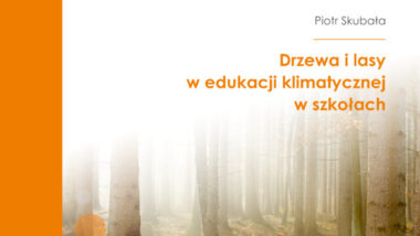 Drzewa i lasy w edukacji klimatycznej w szkołach