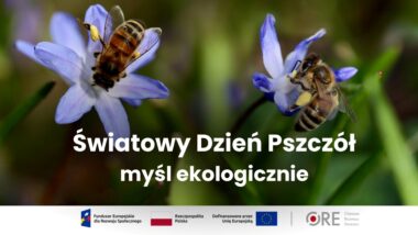 Pszczoły